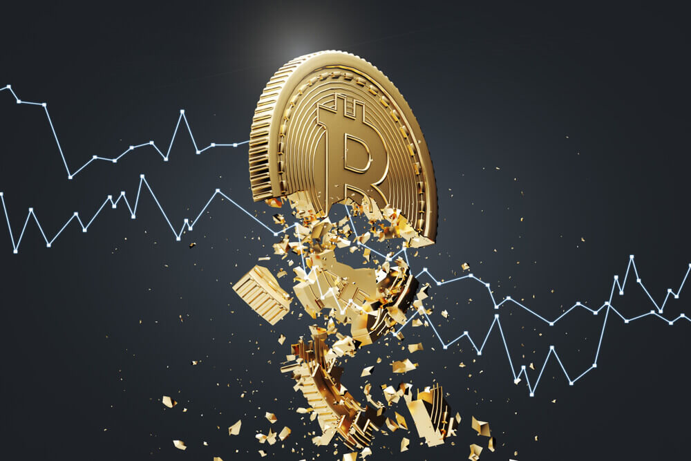 Will Bitcoin Crash - Facts and Figures about the Famous Crypto