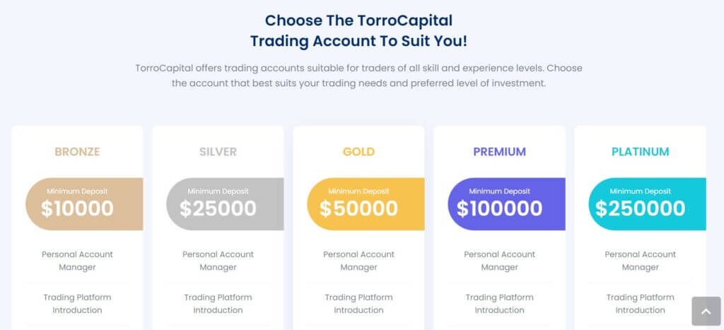 Other account types on TorroCapital (VIP and VIP+)