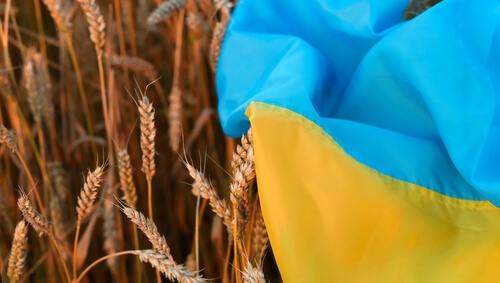 Le blé baisse en raison des interdictions unilatérales d’importation imposées à l’Ukraine