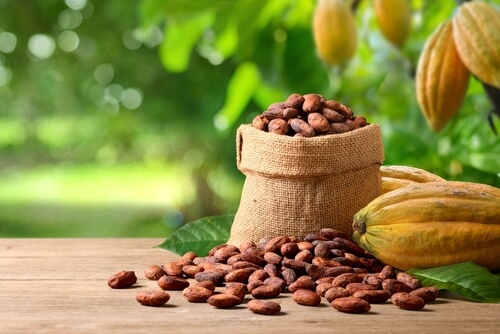 Cocoa Crashes as Traders Delay Purchases from West Africa